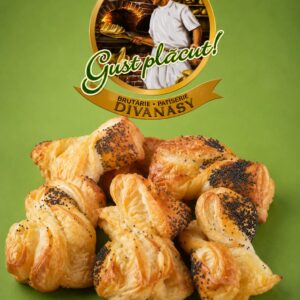Saleuri Divanasy